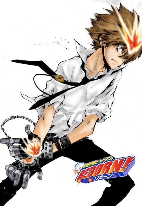 hitman reborn sawada tsunayoshi|hitman reborn wikipedia.